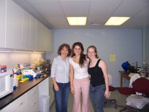 Spring & Summer 2005